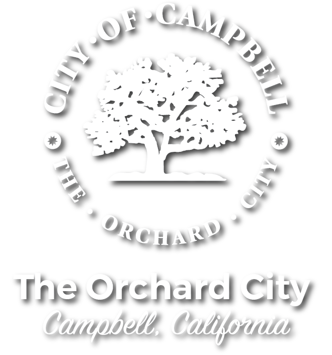 Professional headshot session in Campbell, California