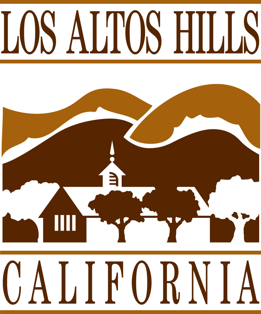Professional headshot session in Los Altos Hills, California
