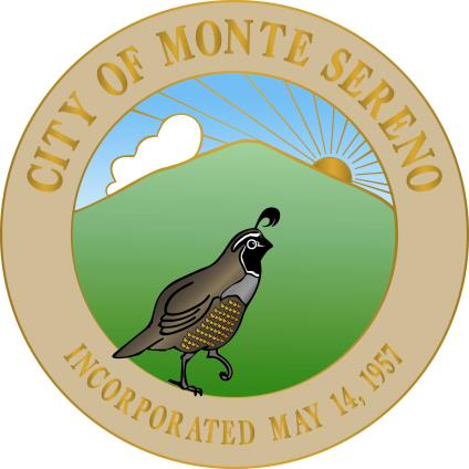 Professional headshot session in Monte Sereno, California