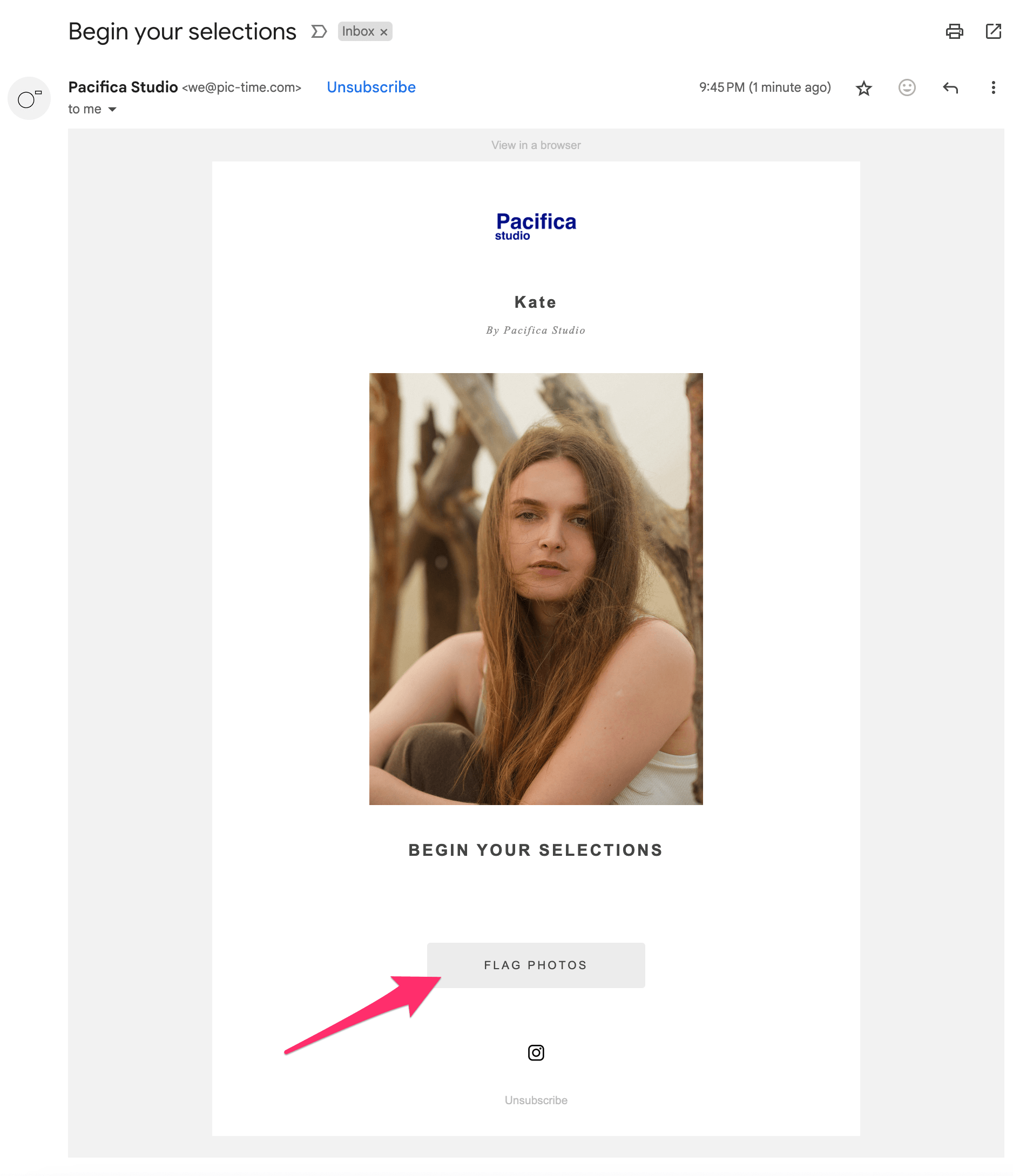 Selection email with the Flag Photos button highlighted